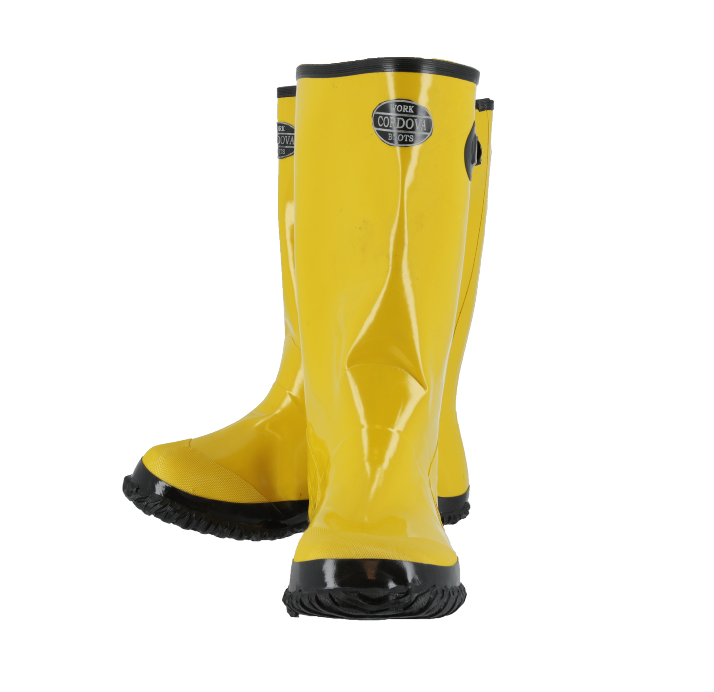 Botas de goma, aguanieve BYS